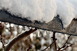冬天,雪,冷