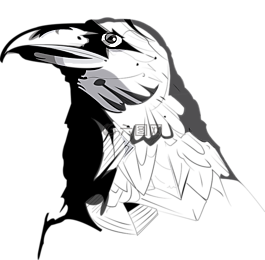 烏鴉,ave,動(dòng)物