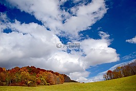 秋,葉子,天空