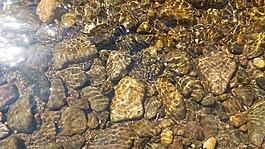 水,石頭,巖