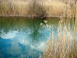 性質(zhì),湖,水