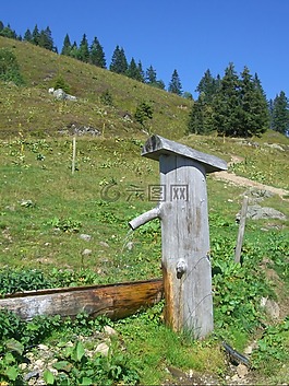 噴泉,飲水機(jī),木