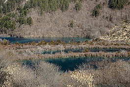山水,風光,九寨溝