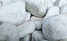 石頭,花園,白