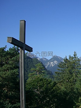 交叉,首腦會議的跨,冷杉