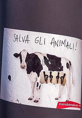 拯救动物,萨尔瓦gli animali,海报