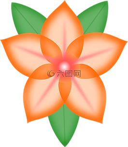 花,红色,植物