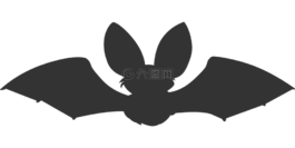 蝙蝠,動(dòng)物,黑暗