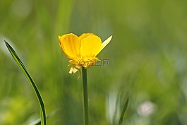 廠,性質(zhì),活
