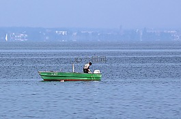 菲舍爾,魚,引導(dǎo)