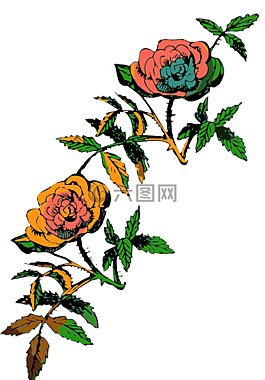 花,玫瑰,裝修