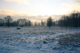 冬天,景觀,雪