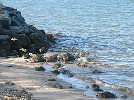 海灘,巖,海