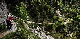 爬山,徒步旅行,流浪者