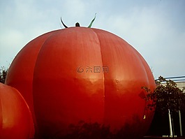 番茄,紅色,食品