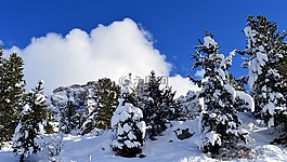 山,高山,性質(zhì)