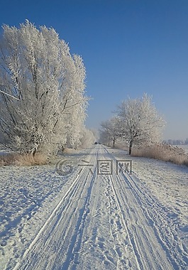 寒冬,雪,白
