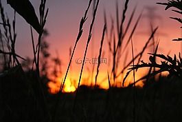 性質(zhì),模糊,背景