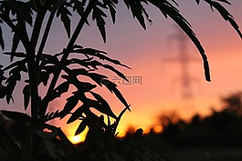 計(jì)劃,重點(diǎn),和平