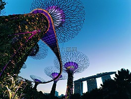 新加坡,藍色,日落