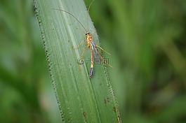 性質(zhì),在中,的