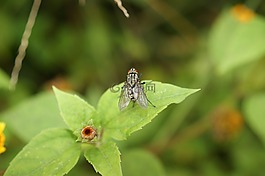 性質(zhì),在中,的