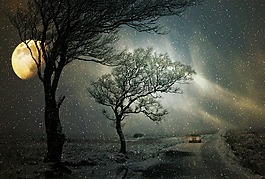 冬天,降雪,道路