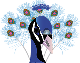 鳥(niǎo),孔雀,羽毛