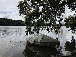 小船,船,湖