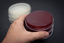 微生物學(xué),細(xì)胞,生物學(xué)