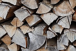木,性質(zhì),灰色