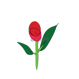 玫瑰,花,植物