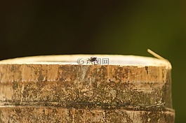 性質(zhì),在中,的