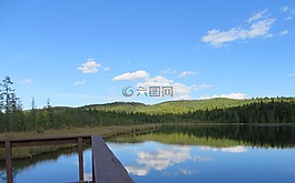 湖,几点思考,树