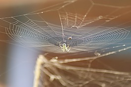 性質,在中,的