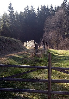 性質(zhì),秋,路徑