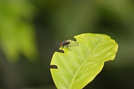 性質(zhì),在中,的