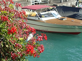 波爾圖,小船,湖