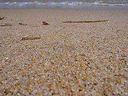 海,砂,桑迪