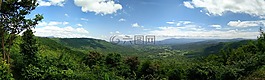 植物,查看,山