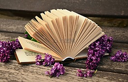 本書,書頁,讀取