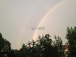 彩虹,灰色的天空,树