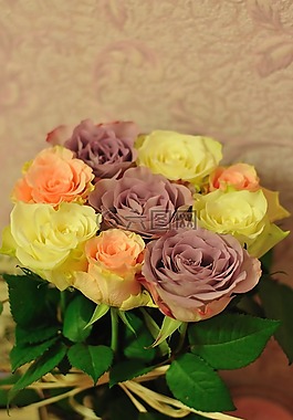 鮮花,玫瑰,花卉
