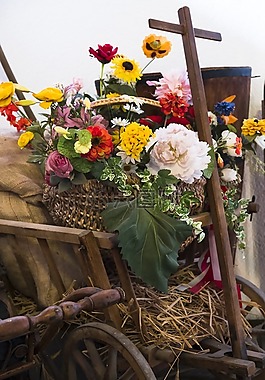 鲜花,花束,装饰
