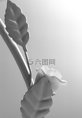 玫瑰,葉子,燭臺(tái)
