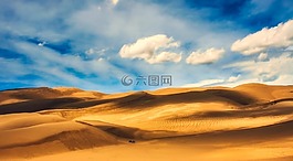 沙,沙丘,沙漠