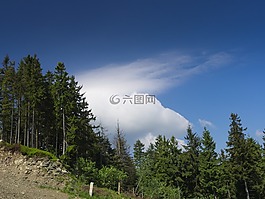 云,山,森林