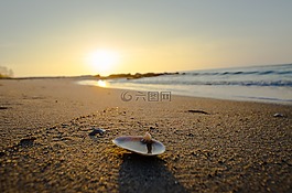 海灘,太陽,沙