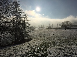 冬天,景觀,雪