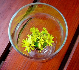 玻璃,花卉,黃色